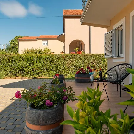 Sami Zadarvillas Pristeg